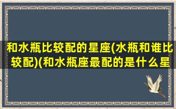 和水瓶比较配的星座(水瓶和谁比较配)(和水瓶座最配的是什么星座配对)