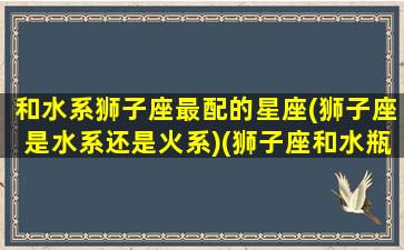 和水系狮子座最配的星座(狮子座是水系还是火系)(狮子座和水瓶座匹配吗)