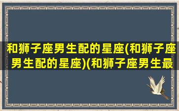 和狮子座男生配的星座(和狮子座男生配的星座)(和狮子座男生最匹配的星座)