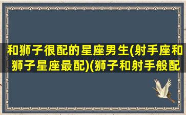 和狮子很配的星座男生(射手座和狮子星座最配)(狮子和射手般配吗)