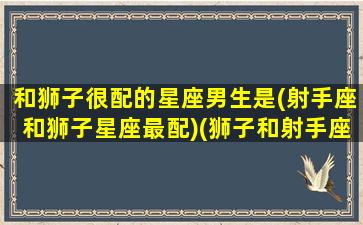 和狮子很配的星座男生是(射手座和狮子星座最配)(狮子和射手座匹配程度是多少)