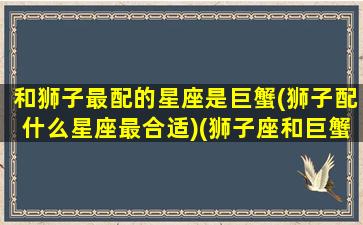 和狮子最配的星座是巨蟹(狮子配什么星座最合适)(狮子座和巨蟹的匹配度)