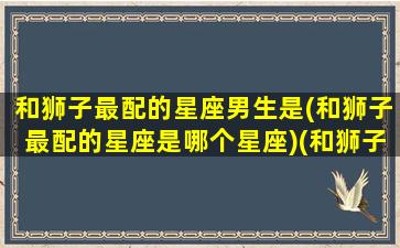 和狮子最配的星座男生是(和狮子最配的星座是哪个星座)(和狮子座般配的星座)