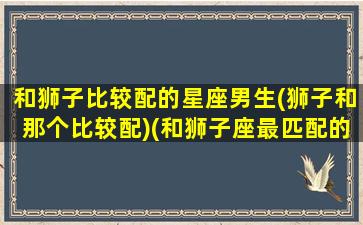 和狮子比较配的星座男生(狮子和那个比较配)(和狮子座最匹配的星座是哪个星座)