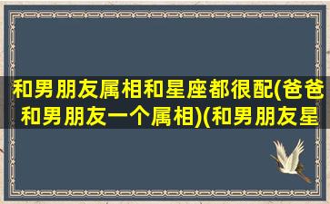 和男朋友属相和星座都很配(爸爸和男朋友一个属相)(和男朋友星座一样)