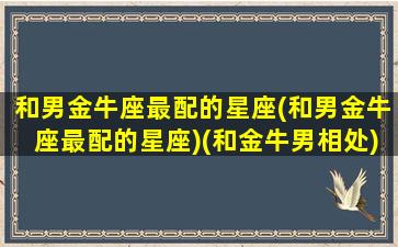 和男金牛座最配的星座(和男金牛座最配的星座)(和金牛男相处)