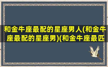 和金牛座最配的星座男人(和金牛座最配的星座男)(和金牛座最匹配的星座配对)