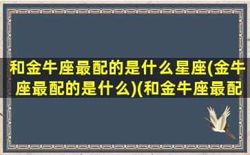 和金牛座最配的是什么星座(金牛座最配的是什么)(和金牛座最配的三个星座)