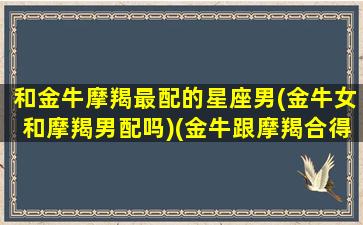 和金牛摩羯最配的星座男(金牛女和摩羯男配吗)(金牛跟摩羯合得来吗)