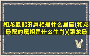 和龙最配的属相是什么星座(和龙最配的属相是什么生肖)(跟龙最配的是什么属性)