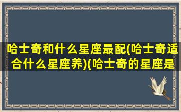 哈士奇和什么星座最配(哈士奇适合什么星座养)(哈士奇的星座是什么星座)