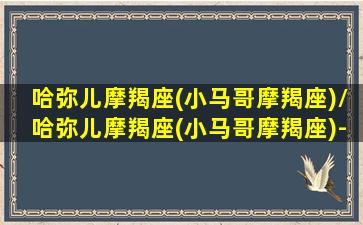 哈弥儿摩羯座(小马哥摩羯座)/哈弥儿摩羯座(小马哥摩羯座)-我的网站