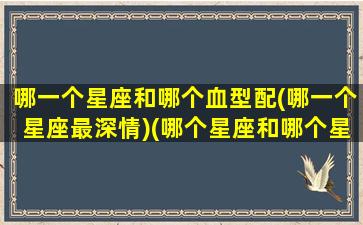 哪一个星座和哪个血型配(哪一个星座最深情)(哪个星座和哪个星座般配)