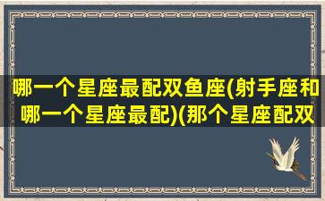 哪一个星座最配双鱼座(射手座和哪一个星座最配)(那个星座配双鱼座)