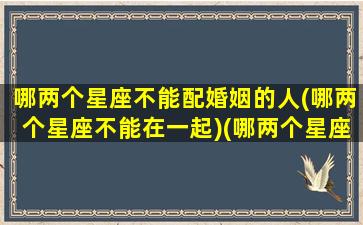 哪两个星座不能配婚姻的人(哪两个星座不能在一起)(哪两个星座不合)