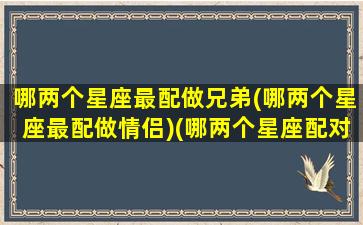 哪两个星座最配做兄弟(哪两个星座最配做情侣)(哪两个星座配对指数最高)