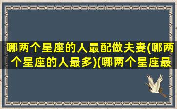 哪两个星座的人最配做夫妻(哪两个星座的人最多)(哪两个星座最适合在一起)