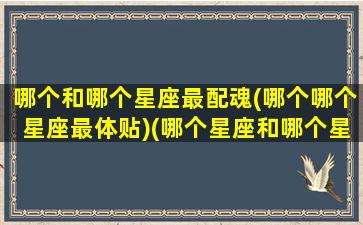 哪个和哪个星座最配魂(哪个哪个星座最体贴)(哪个星座和哪个星座最配合谈恋爱)