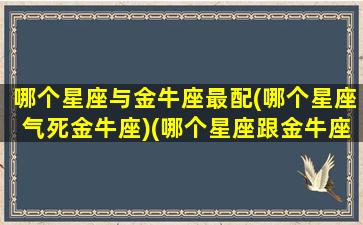 哪个星座与金牛座最配(哪个星座气死金牛座)(哪个星座跟金牛座最配)