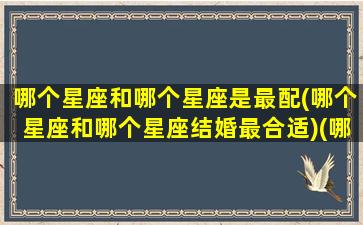 哪个星座和哪个星座是最配(哪个星座和哪个星座结婚最合适)(哪个星座和哪个星座是最配的)