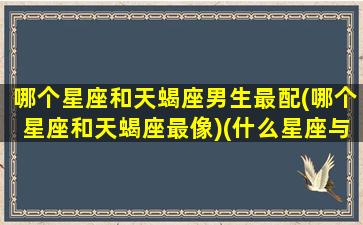 哪个星座和天蝎座男生最配(哪个星座和天蝎座最像)(什么星座与天蝎座男最配)