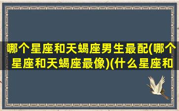 哪个星座和天蝎座男生最配(哪个星座和天蝎座最像)(什么星座和天蝎男)