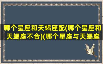 哪个星座和天蝎座配(哪个星座和天蝎座不合)(哪个星座与天蝎座最合适)