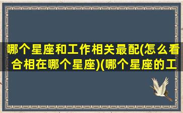 哪个星座和工作相关最配(怎么看合相在哪个星座)(哪个星座的工作效率最高)