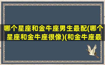 哪个星座和金牛座男生最配(哪个星座和金牛座很像)(和金牛座最好的星座)