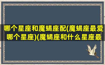 哪个星座和魔蝎座配(魔蝎座最爱哪个星座)(魔蝎座和什么星座最配做夫妻)