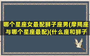 哪个星座女最配狮子座男(摩羯座与哪个星座最配)(什么座和狮子女最配)