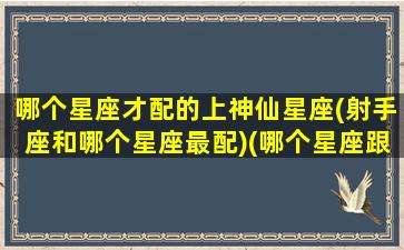 哪个星座才配的上神仙星座(射手座和哪个星座最配)(哪个星座跟射手座最配)