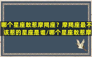 哪个星座敢惹摩羯座？摩羯座最不该惹的星座是谁/哪个星座敢惹摩羯座？摩羯座最不该惹的星座是谁-我的网站