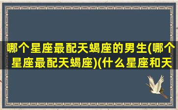 哪个星座最配天蝎座的男生(哪个星座最配天蝎座)(什么星座和天蝎男最配对)