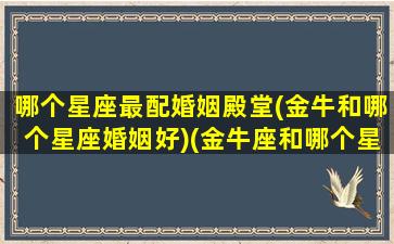 哪个星座最配婚姻殿堂(金牛和哪个星座婚姻好)(金牛座和哪个星座结婚最好)