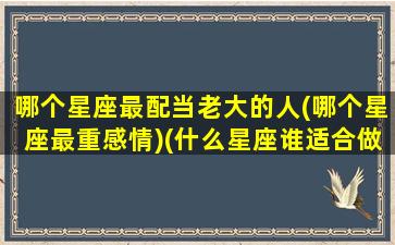 哪个星座最配当老大的人(哪个星座最重感情)(什么星座谁适合做老大)