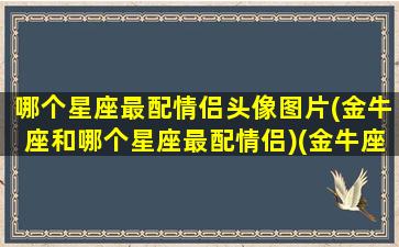 哪个星座最配情侣头像图片(金牛座和哪个星座最配情侣)(金牛座的情侣星座)