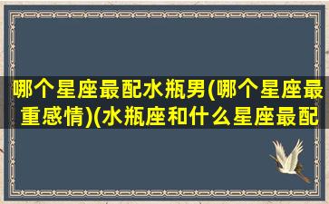 哪个星座最配水瓶男(哪个星座最重感情)(水瓶座和什么星座最配做男朋友)