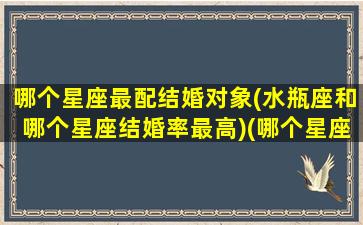 哪个星座最配结婚对象(水瓶座和哪个星座结婚率最高)(哪个星座跟水瓶座最配)