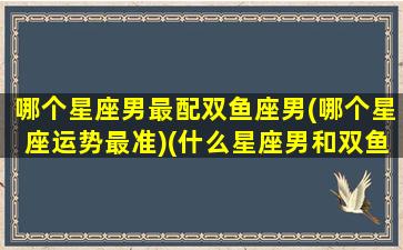 哪个星座男最配双鱼座男(哪个星座运势最准)(什么星座男和双鱼女最配)