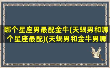 哪个星座男最配金牛(天蝎男和哪个星座最配)(天蝎男和金牛男哪个更小气)