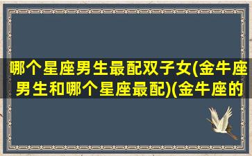 哪个星座男生最配双子女(金牛座男生和哪个星座最配)(金牛座的男生和双子座的女生合适吗)