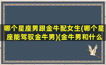 哪个星座男跟金牛配女生(哪个星座能驾驭金牛男)(金牛男和什么星座合得来)