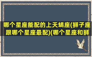 哪个星座能配的上天蝎座(狮子座跟哪个星座最配)(哪个星座和狮子座最配)