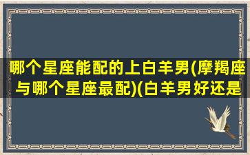 哪个星座能配的上白羊男(摩羯座与哪个星座最配)(白羊男好还是摩羯男好)