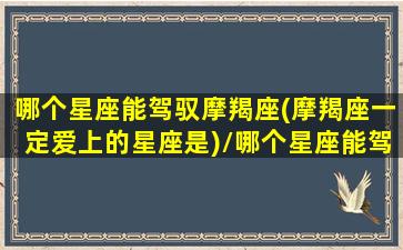 哪个星座能驾驭摩羯座(摩羯座一定爱上的星座是)/哪个星座能驾驭摩羯座(摩羯座一定爱上的星座是)-我的网站