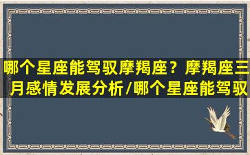 哪个星座能驾驭摩羯座？摩羯座三月感情发展分析/哪个星座能驾驭摩羯座？摩羯座三月感情发展分析-我的网站