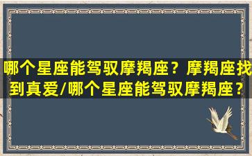 哪个星座能驾驭摩羯座？摩羯座找到真爱/哪个星座能驾驭摩羯座？摩羯座找到真爱-我的网站