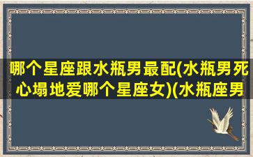 哪个星座跟水瓶男最配(水瓶男死心塌地爱哪个星座女)(水瓶座男和哪个星座最合适)