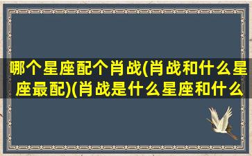 哪个星座配个肖战(肖战和什么星座最配)(肖战是什么星座和什么星座最配)